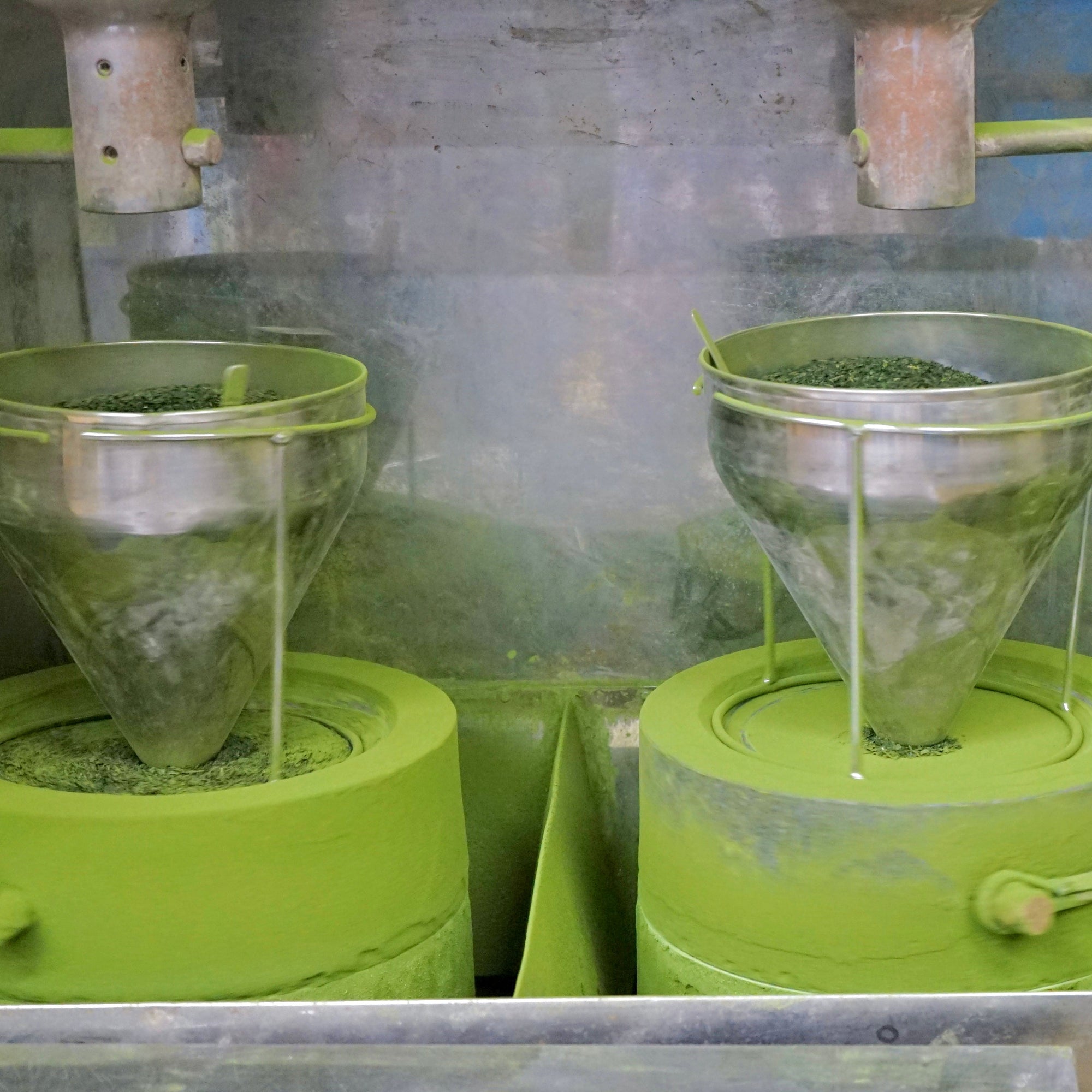 Seika 清華 Organic Matcha 1kg